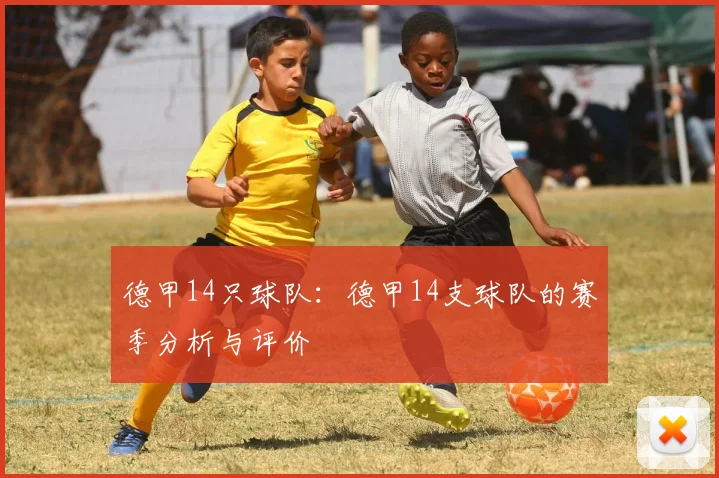 德甲14只球队：德甲14支球队的赛季分析与评价