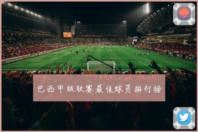 巴西甲级联赛最佳球员排行榜