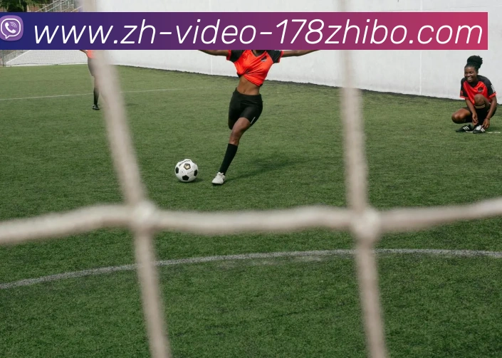 178体育直播平台生态图